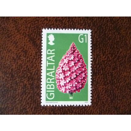 Gibraltar 2004 Wild Flowers G1 Pyramidal Orchid mint stamp SG1099 Flora Plants