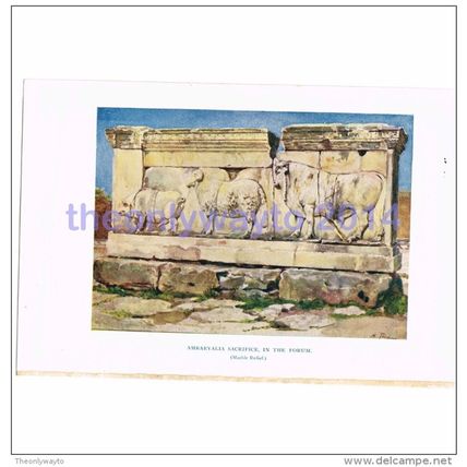 Ambarvalia Sacrifice In The Forum, Rome, Italy, Book Illustration (Print), 1925