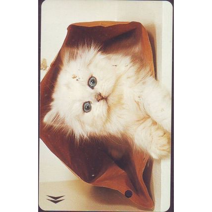 Cats S'pore SMRT Train Card