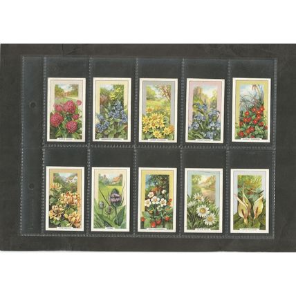 Cigarette Cards Gallaher Wild Flowers 1939 Full set of 48