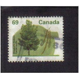 1991 canada shagbark hickory tree 69c f/u sg1473
