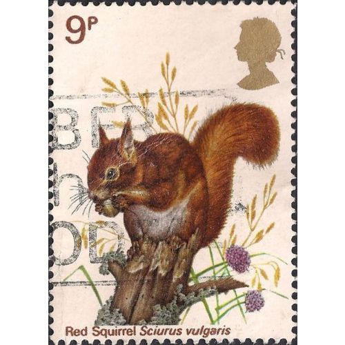 GB, MAMMALS, Red Squirrel, white 1977, 9p, #3