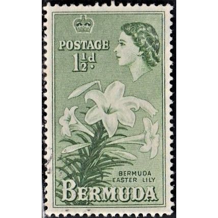 Bermuda, 1953-58 Easter Lilies, SG 137 (Scott #145), used