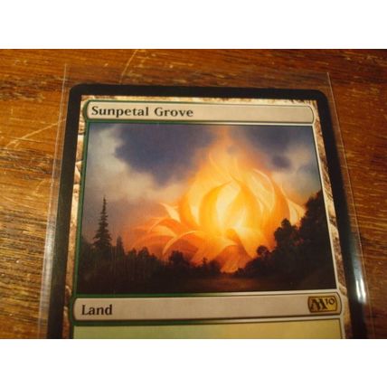 Magic The Gathering, MTG, 1-Cards, 1993-2009, SUNPETAL GROVE, nm