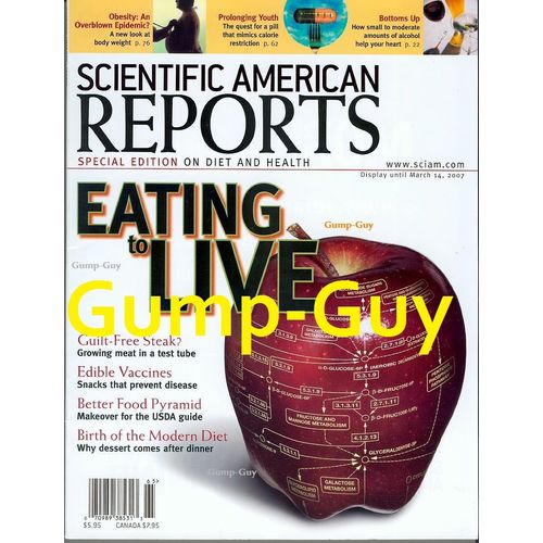 Scientific American Reports magazine Dec 2006 Diet & Health Obesity Youth Pill