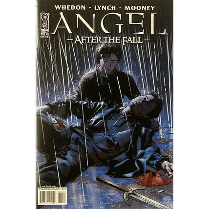 Angel: After the Fall # 013 NM CoverB MODERN AGE COMICS