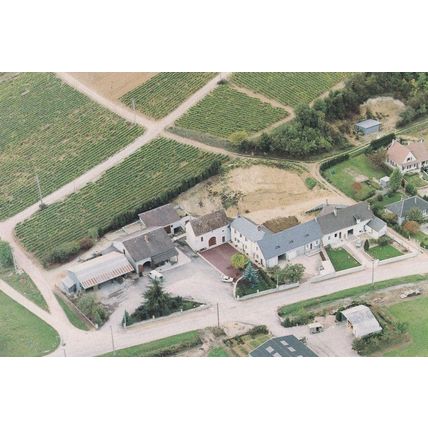 Vins Fins De Sancerre French Wine Farmer Farming Aerial Postcard