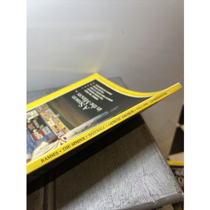 National Geographic Magazine April 1991 Season in the Minors Vintage Collectable