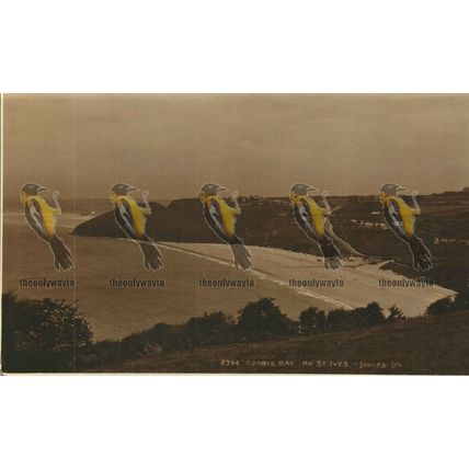 Carbis Bay, Nr St Ives, Cornwall, Judges RP Postcard