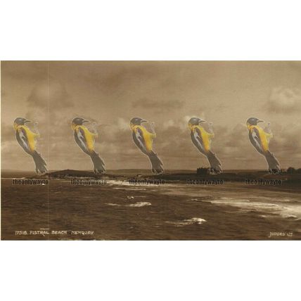 Fistral Beach, Newquay, Cornwall, Rare Judges RP Postcard