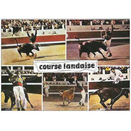 40 - COURSE LANDAISE