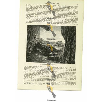 St Ninian's Cave, Glasserton, Wigtonshire, Scotland, Book Illustration, 1885