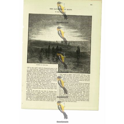 Evening On The Nile, Egypt, Book Illustration (Print), 1885