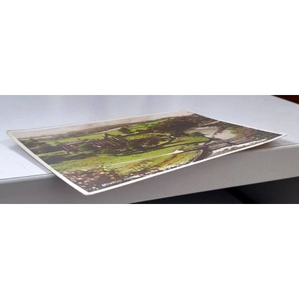 BOLTON ABBEY & RIVER WHARFE : REAL PHOTOGRAPH POSTCARD : COLOURED *