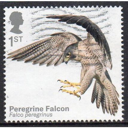 GB 2019 Birds of Prey - Peregrine Falcon 1st Used