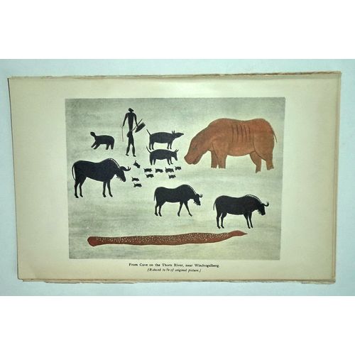 Antique Engraving 1905 print African Art Bushman Painting Gnus Animals Litho