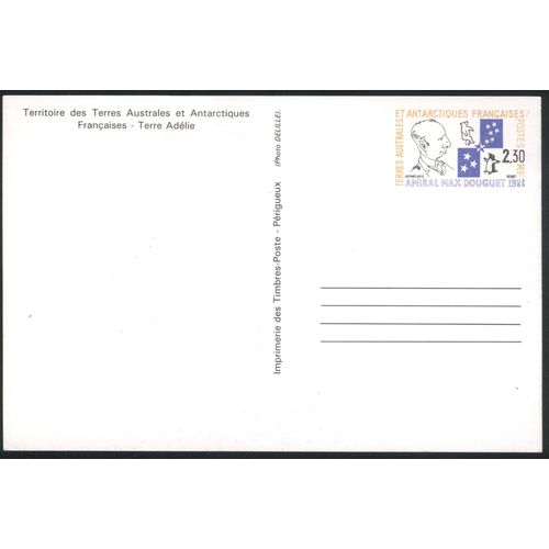 France PC - (French Antarctica Issue) - Penguins on ice-flow - unused
