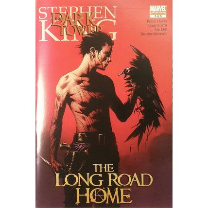 Dark Tower: The Long Road Home (2008 Ltd) # 003 NM MODERN AGE COMICS
