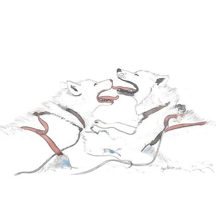 BET.G303/5: The Greenland Dog