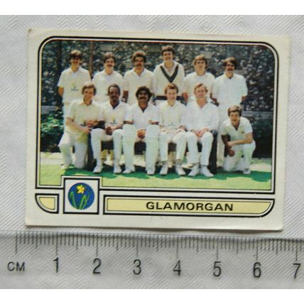 1983 Panini Cricket sticker No. 33 Glamorgan