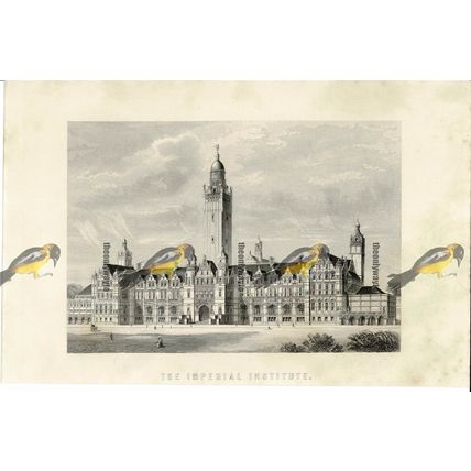 Imperial Institute, London, Now Demolished, Book Illustration (Print), 1899