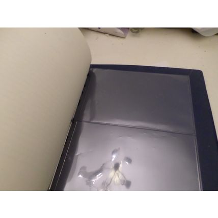 Westminster - Coin Collection Album - for 10 Countries - Places for Pre and Post