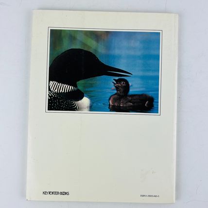 Voyageur Wilderness - Love of Loons Paperback Book Loon