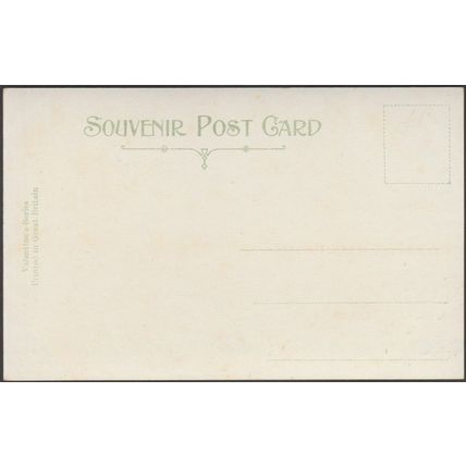 Highland Cattle - Amongst the Bracken, c.1910 - Valentine's Postcard