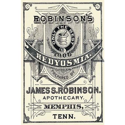 Robinson's Hedyosmia 12 x 18 Poster