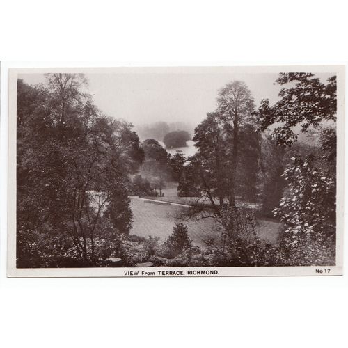 View from the Terrace Richmond Postcard RP Surrey 17