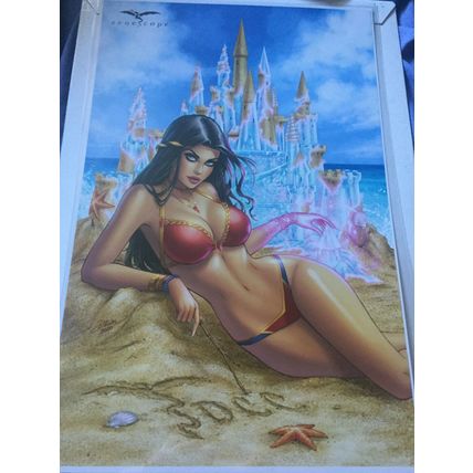 Zenescope Sexy San Diego Comic Con Beach 11" x 17" Dawn McTeigue Art Print