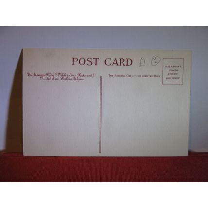 LANGUAGE OF FLOWERS, ANEMONE, ROMANCE unused antique postcard by J Welch. /