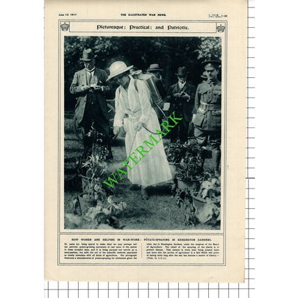 Women War Work Kensington Gardens Potato Spraying WW1 - 1917 Cutting / Print