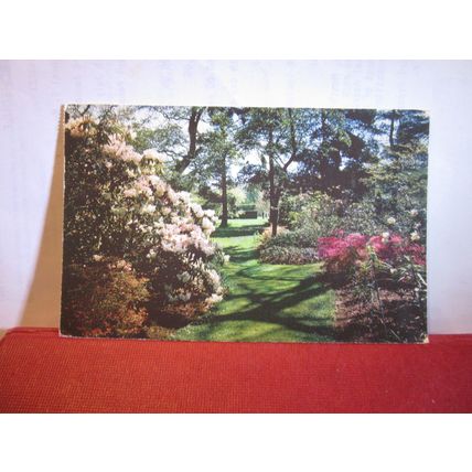 SAVILL GARDENS, GREAT WINDSOR PARK used postcard by Jarrold 1983 pm =