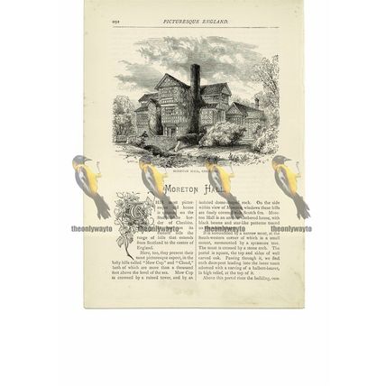 Moreton Hall, Cheshire, Book Illustration (Print), 1891