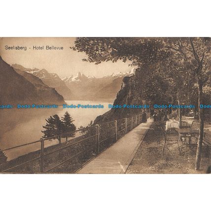 R053251 Seelisberg. Hotel Bellevue. E. Goetz