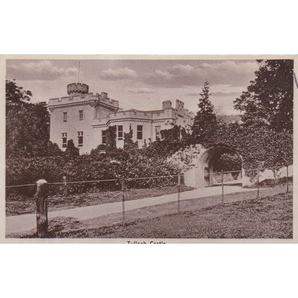 EC53 TULLOCH CASTLE , RP POSTCARD.