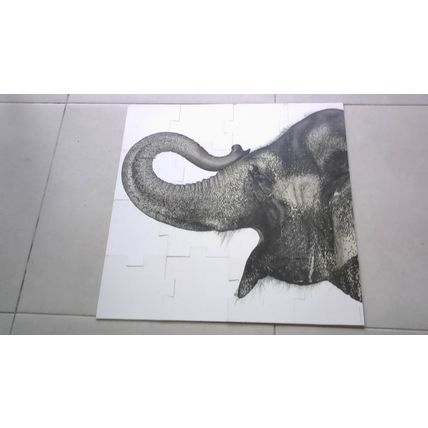 CREATURE by Andrew Zuckerman. Double-Sided Floor Puzzles 16 Large Piece Jigsaws