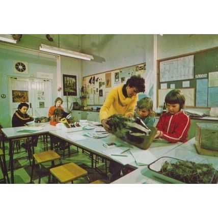 School Nature Teacher Classroom Pelham Herts Hertfordshire Electricity Postcard
