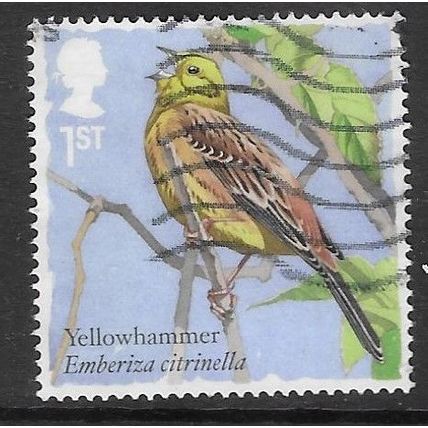 2017 Songbirds - Yellow Hammer - used