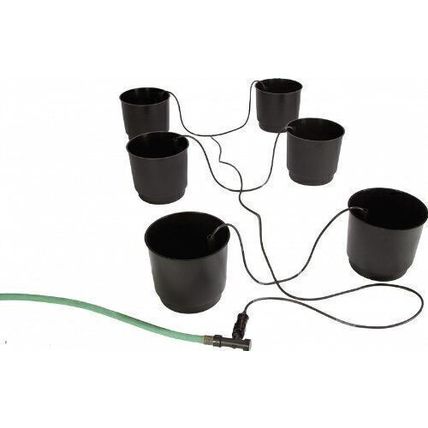 Eco Growing Systems, Eco 6 Pack Growing System