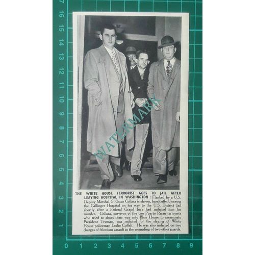 C2635) S Oscar Collaza White House Terrorist Washington Gallinger - 1950 Clip