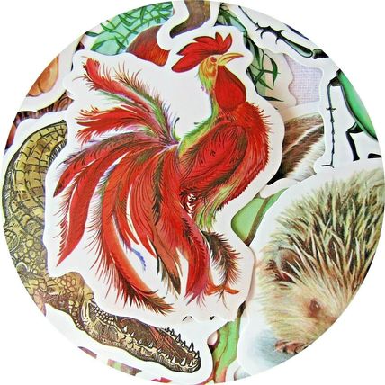 25 Wildlife Stickers Loose Random Selection Fun Scrapbooking Decorate ST27