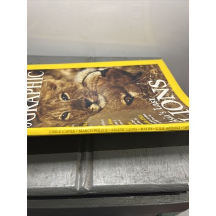 National Geographic Magazine June 2001 Asia's Last Lions - Vintage Collectable