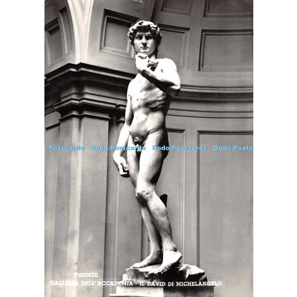 D099169 Firenze. Galleria Dell Accademia. Il David Michelangelo. Giusti di Becoc