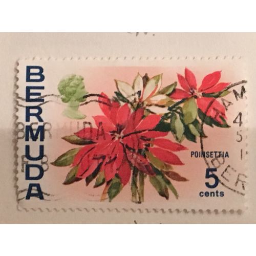 Bermuda QEII 1973 5c Poinsettia Used SG 303 Sc Upright Watermark stamp flowers