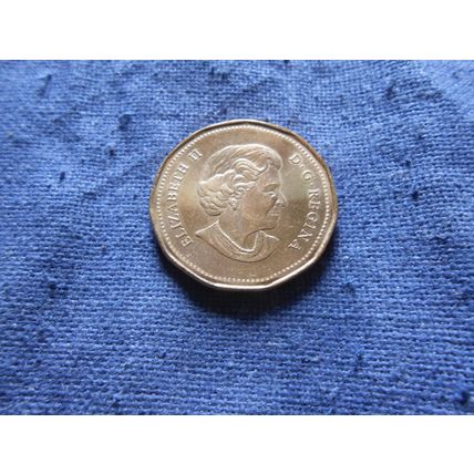 2006 CANADA LOON DOLLAR COIN. ( Olympic Games )