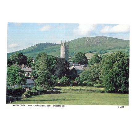 WIDECOMBE & CHINKWELL TOR, DEVON. unused postcard by Judges =