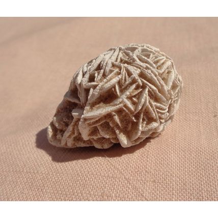 E Desert Rose Gypsum 1.625 Inch Raw Rough Stone Crystal Metaphysical