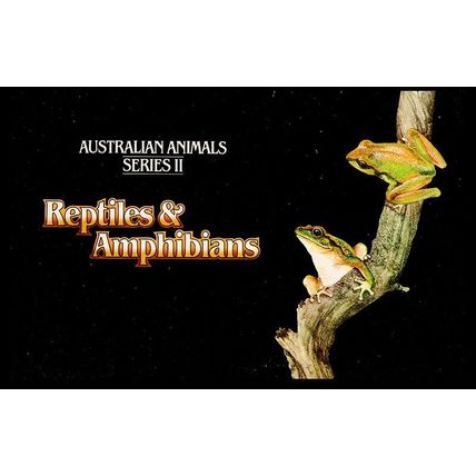Australia 1982 Animals Reptiles & Amphibians 7 MNH Stamps in Post Office Pack.